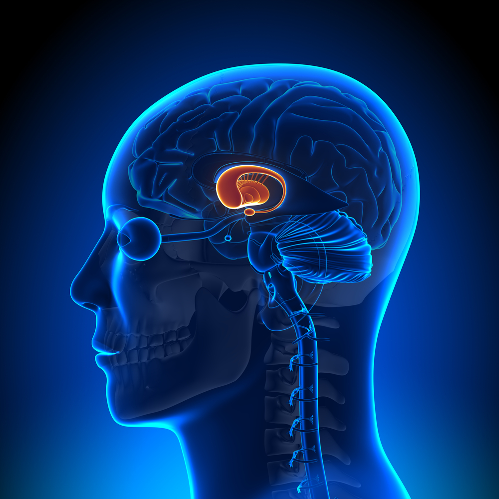 Surgen detalles del primer ensayo clínico de terapia génica para la enfermedad de Huntington
