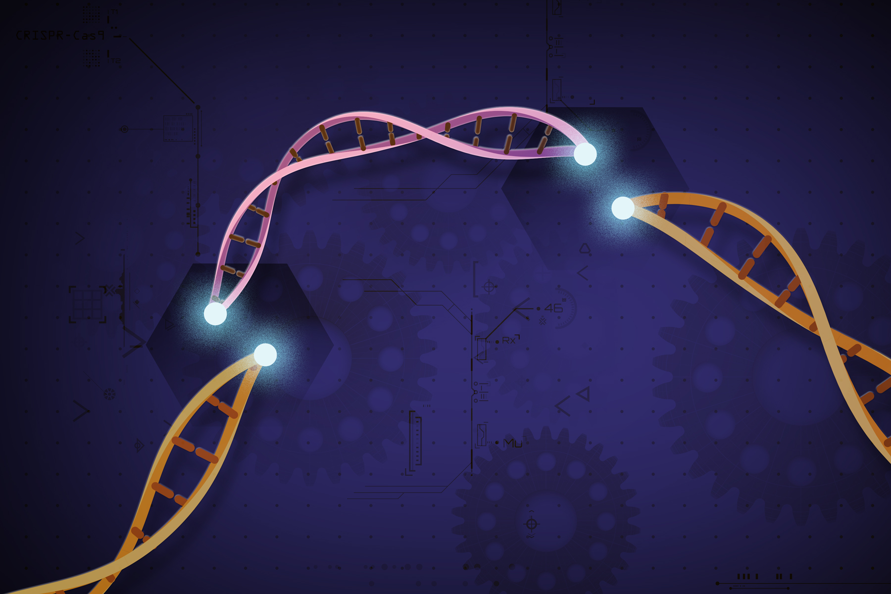 Se recomienda precaución en el uso de la tecnología de edición genética CRISPR